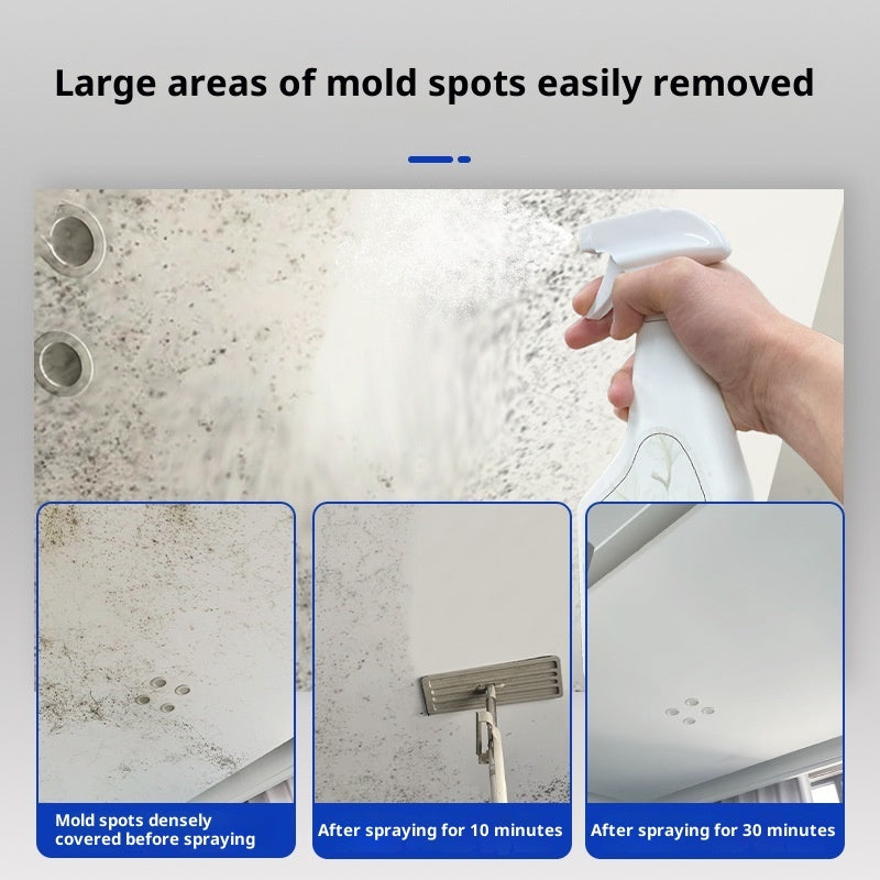 Wall Mold Remover™