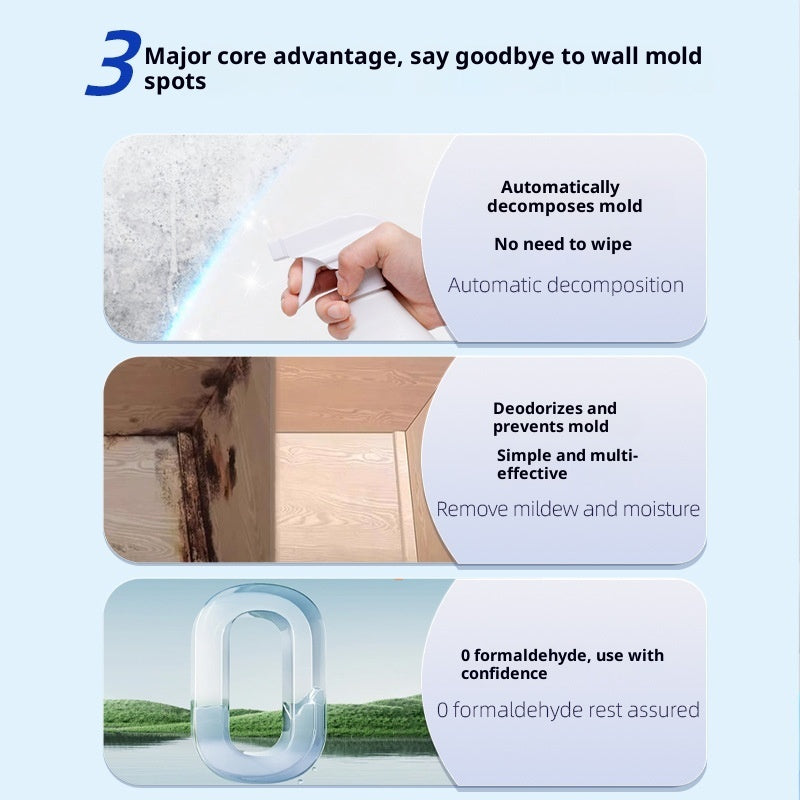 Wall Mold Remover™