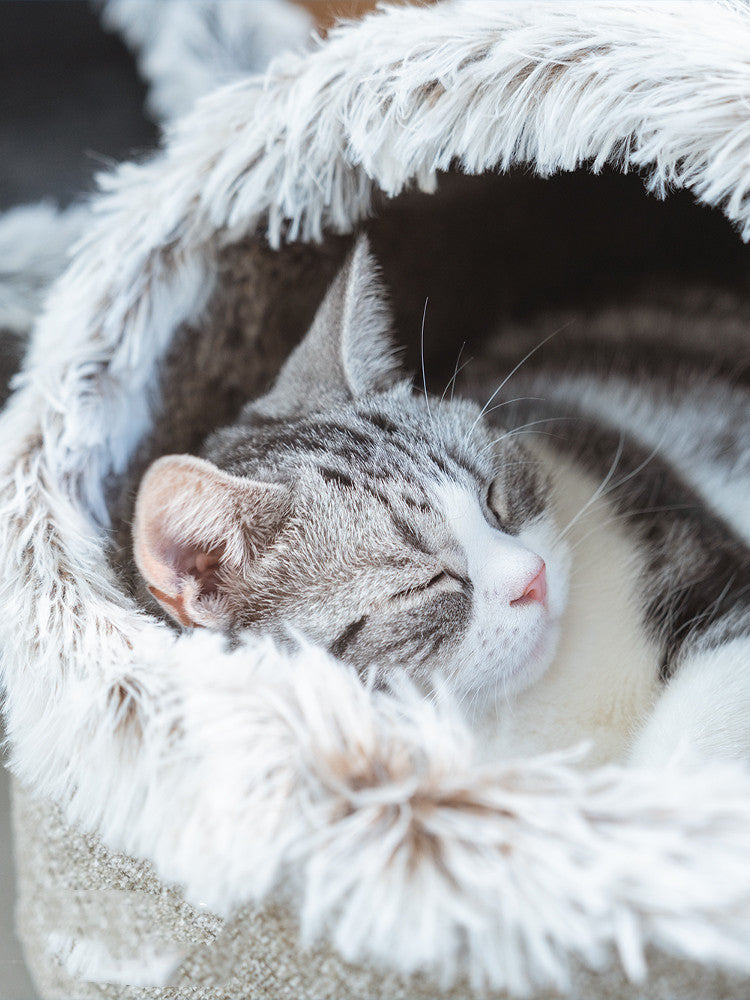 Polar Snuggle Cat Cave™