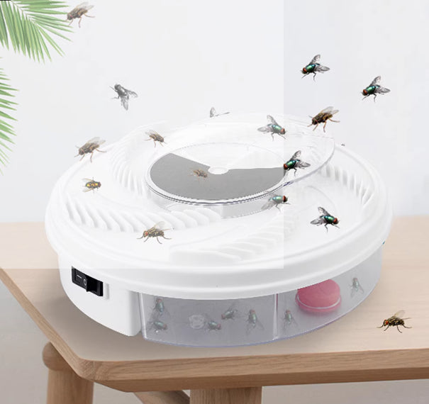 Fly Trap