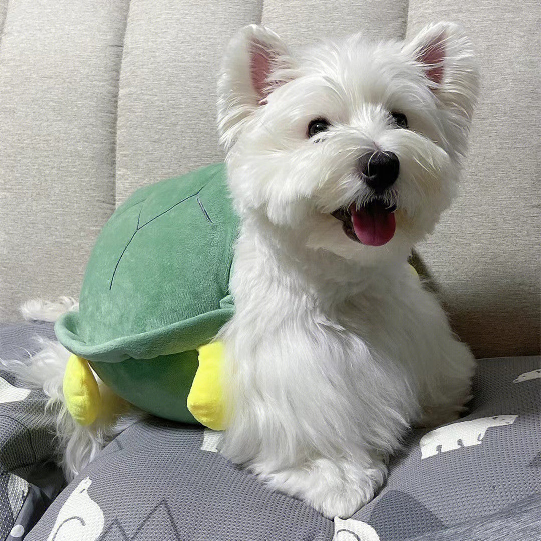 Turtle Pet Shell Costume™