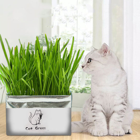 Cat Grass™