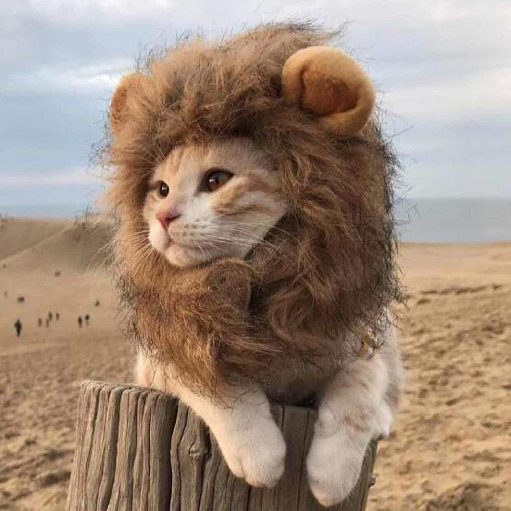 Cat Lion Headgear™