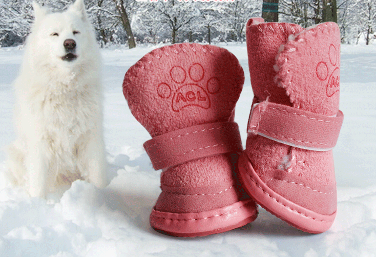 PawGuard Pet Boots™