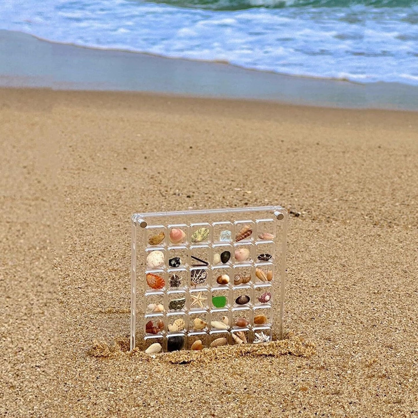 Seashell Display Box™