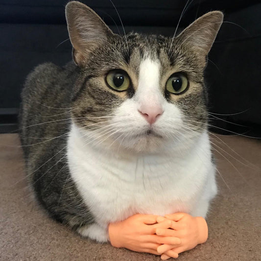 PawPal Finger Puppet™