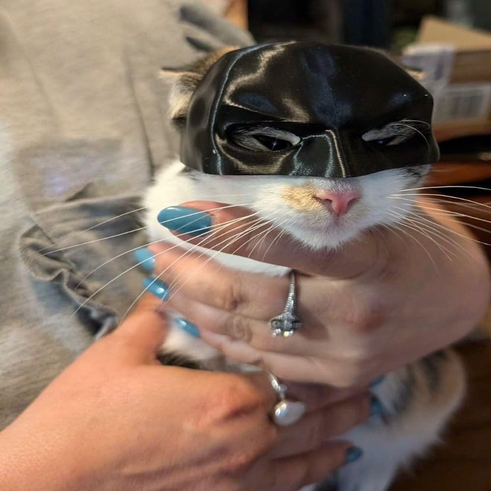 BatCat Hero Mask™