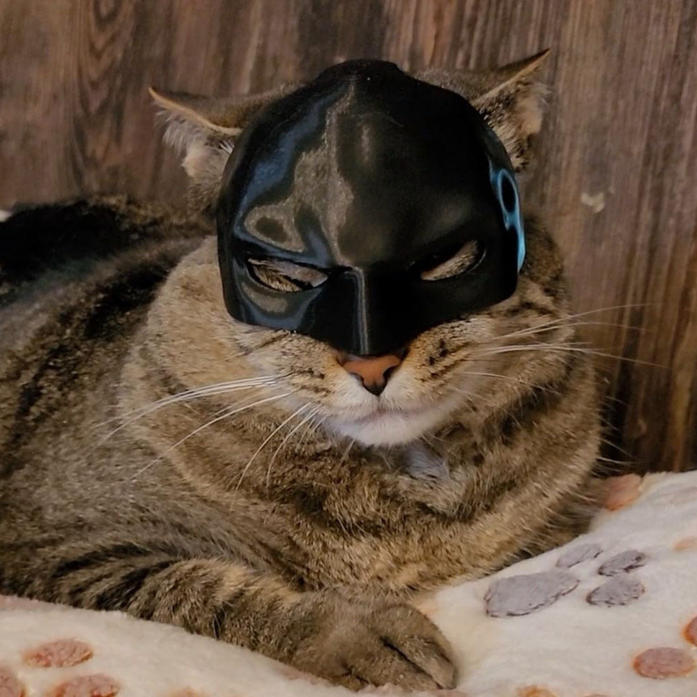 BatCat Hero Mask™