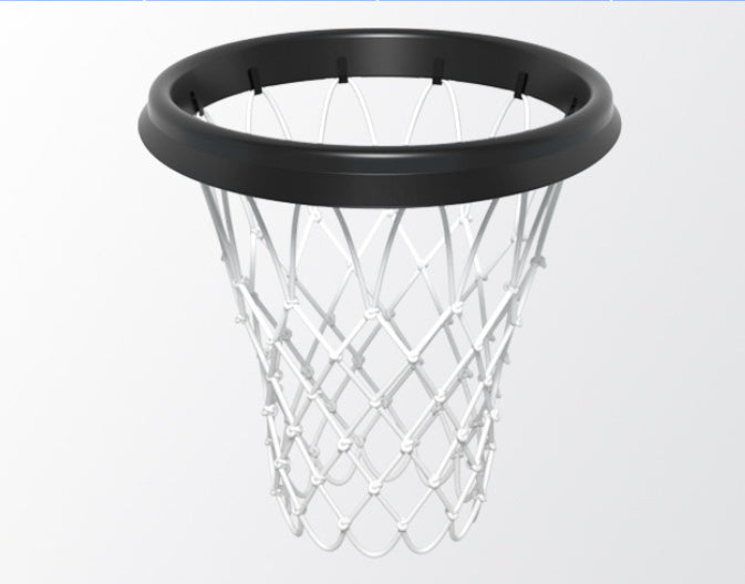 HoopMaster Basketball Hoop™