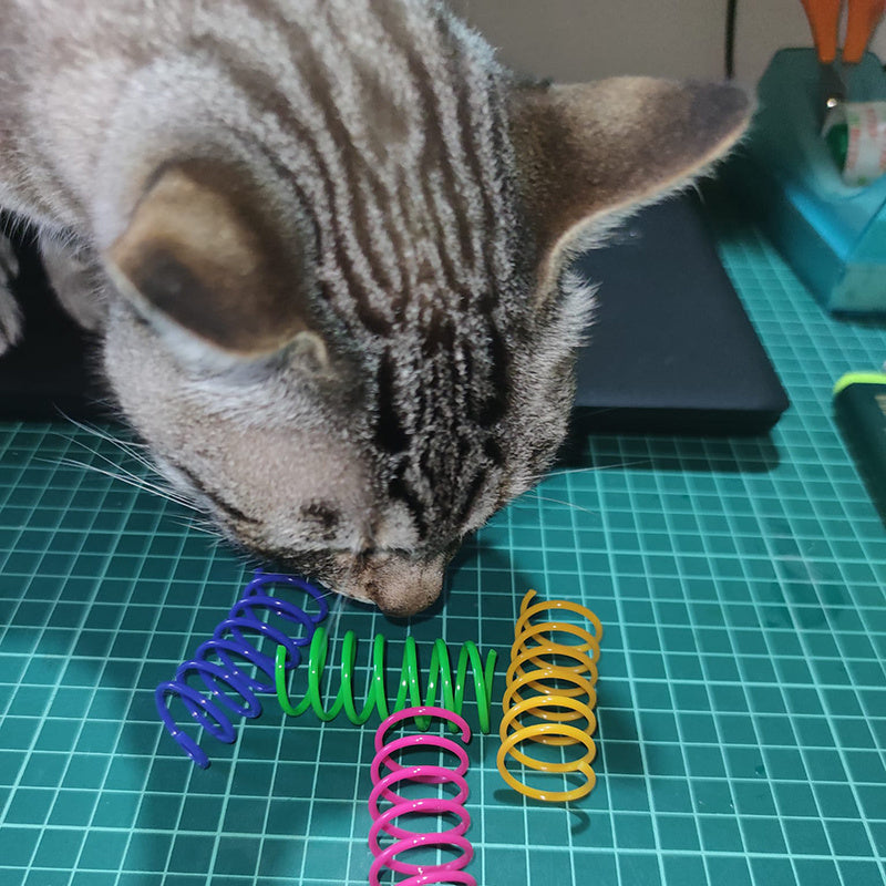 Rainbow Coil Springs™