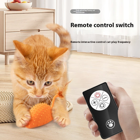 Mouse Remote Control Cat Toy™